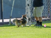 DSC 6368 DxO