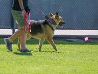 DSC 6370 DxO