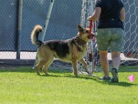 DSC 6371 DxO