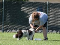 DSC 6386 DxO