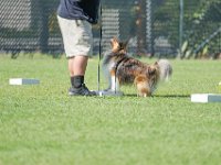 DSC 6390 DxO