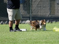 DSC 6393 DxO