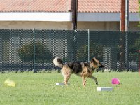 DSC 6397 DxO