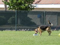 DSC 6398 DxO