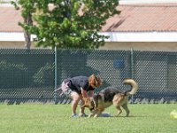 DSC 6400 DxO