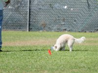 DSC 6407 DxO