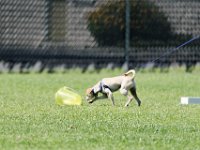 DSC 6440 DxO