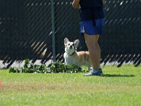 DSC 6500 DxO