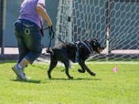 DSC 6512 DxO