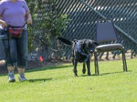 DSC 6514 DxO