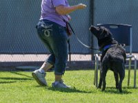 DSC 6515 DxO