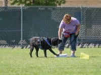DSC 6526 DxO