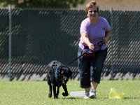 DSC 6527 DxO