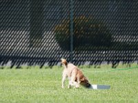 DSC 6546 DxO