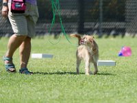 DSC 6550 DxO