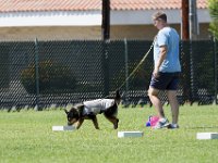 DSC 6563 DxO