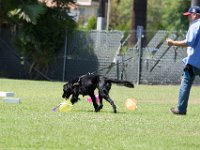 DSC 6600 DxO