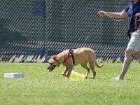 DSC 6698 DxO