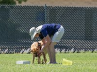 DSC 6701 DxO