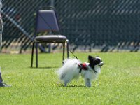 DSC 6709 DxO