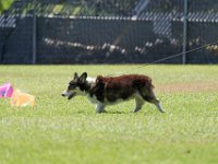 DSC 6764 DxO