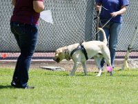 DSC 6800 DxO