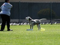 DSC 6910 DxO