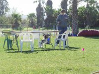 DSC 0817