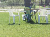 DSC 0825