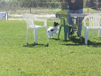DSC 0826