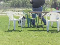DSC 0837