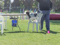 DSC 0839