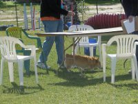 DSC 9677