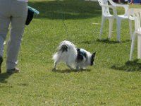 DSC 9962