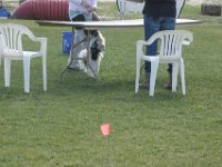DSC 9967