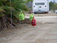 DSC 5238 1
