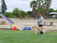 DSC 5325