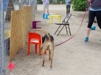 DSC 5440