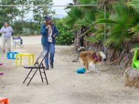 DSC 5462