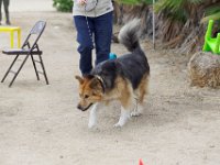 DSC 5476