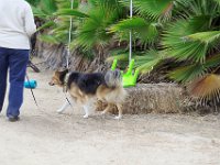 DSC 5479
