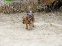 DSC 5531