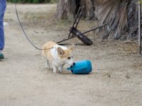 DSC 5589