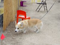 DSC 5592