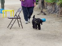 DSC 5667
