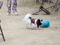 DSC 5685