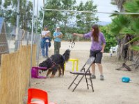 DSC 5729