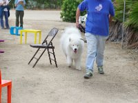 DSC 5751