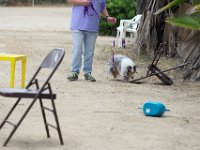 DSC 5773