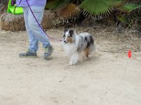 DSC 5775